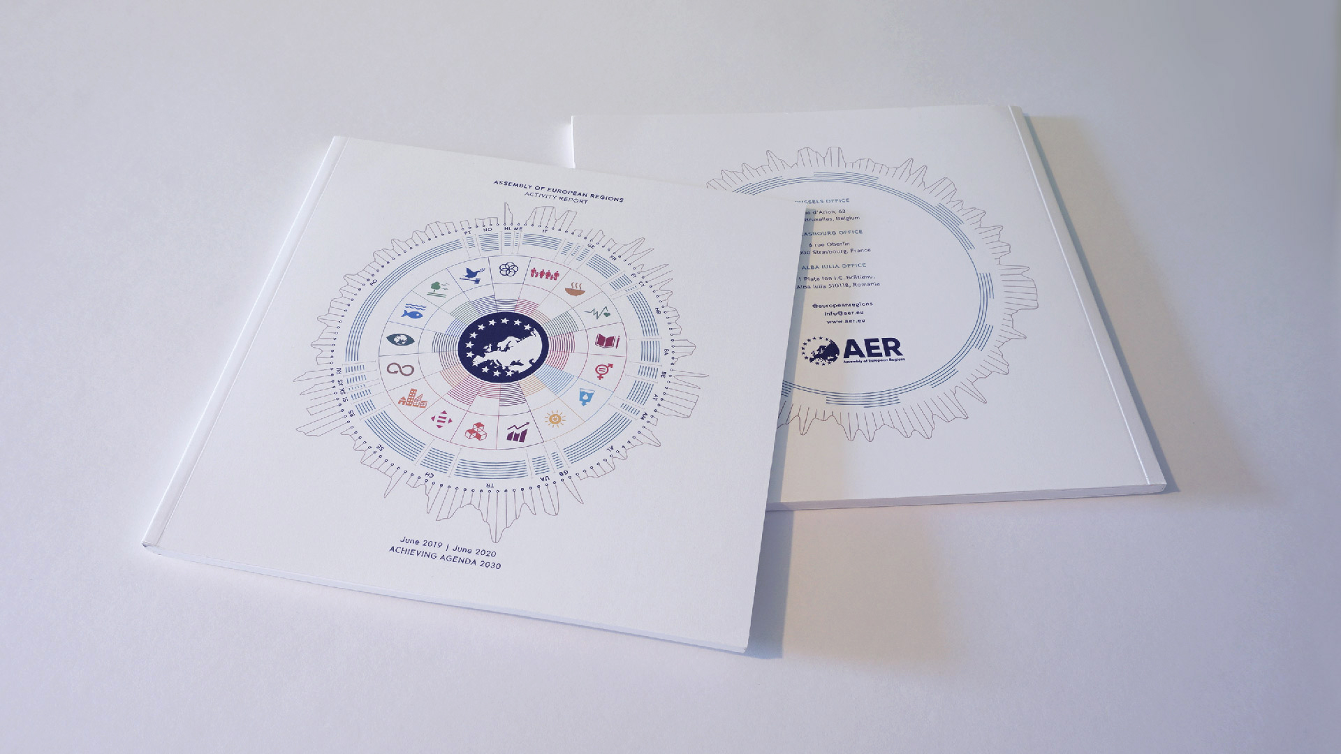 AER Activity Report 2019-20