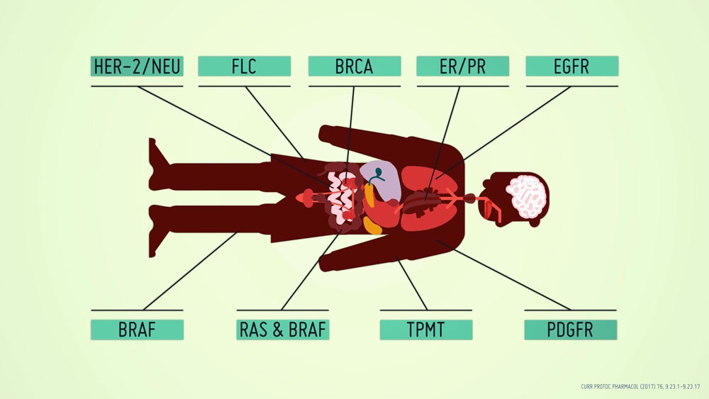 ECPC Biomarkers animated infographics