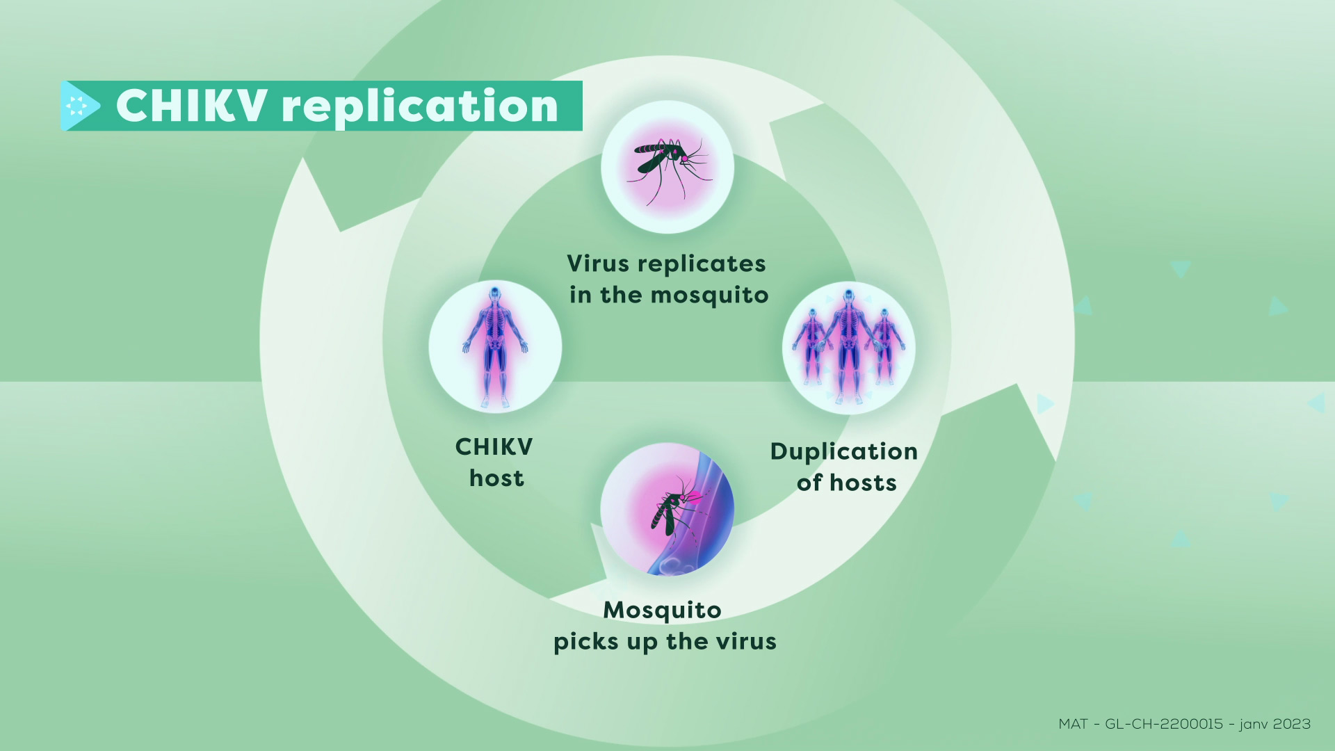 Chikungunya disease