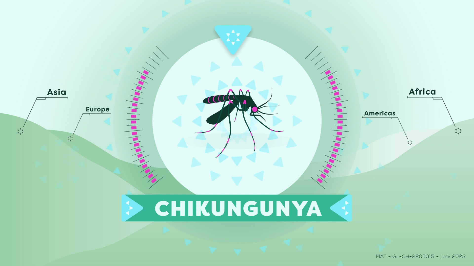 Chikungunya disease animated infographics